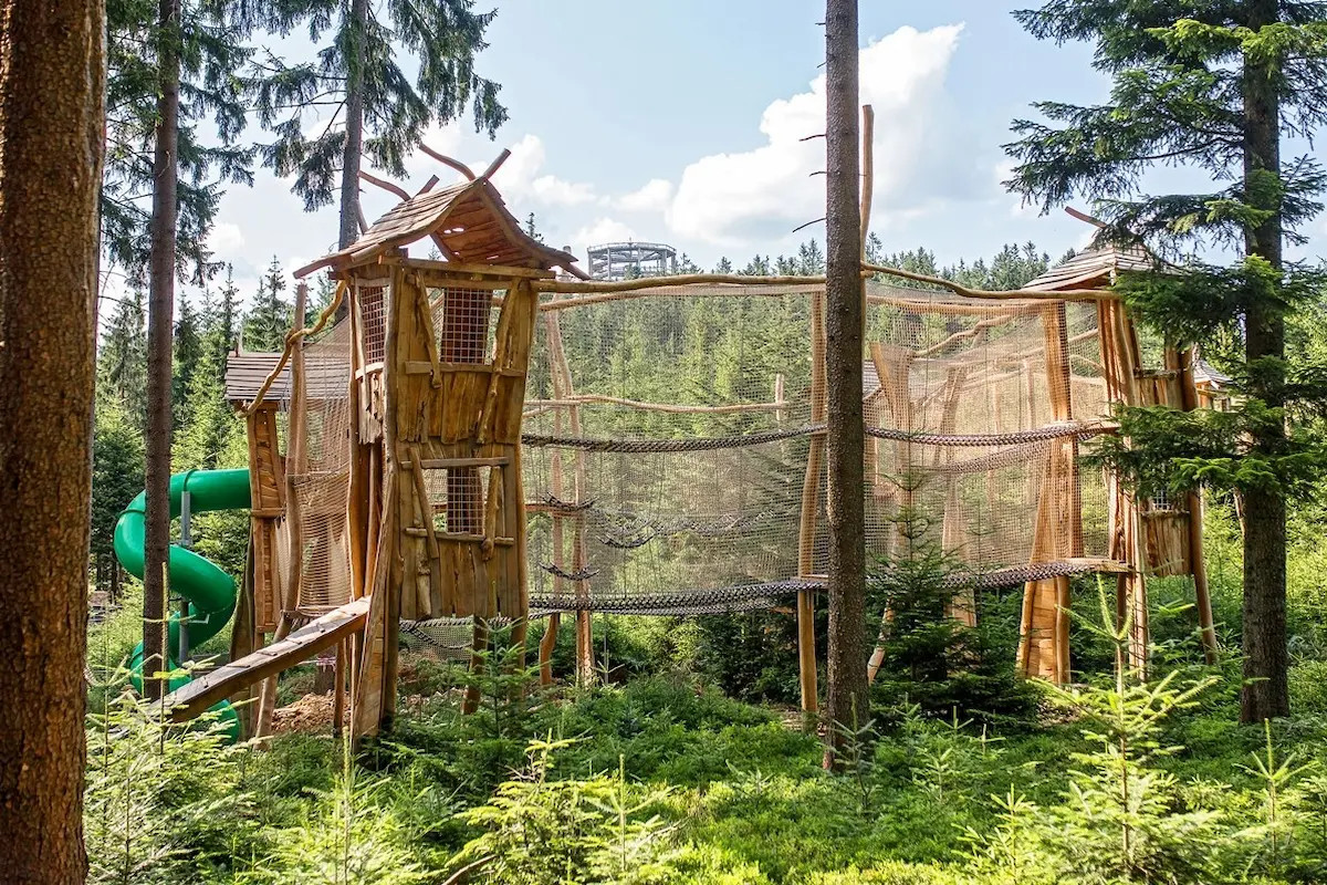 Království lesa Lipno nad Vltavou. Dovolená na Lipně, kam s dětmi